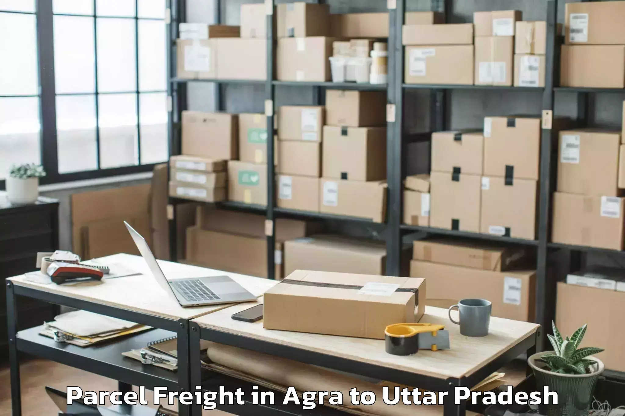 Leading Agra to Chillupar Parcel Freight Provider